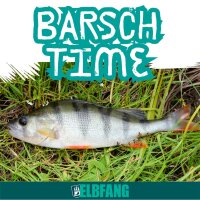 ELBFANG Barsch Blinker Set mit Box
