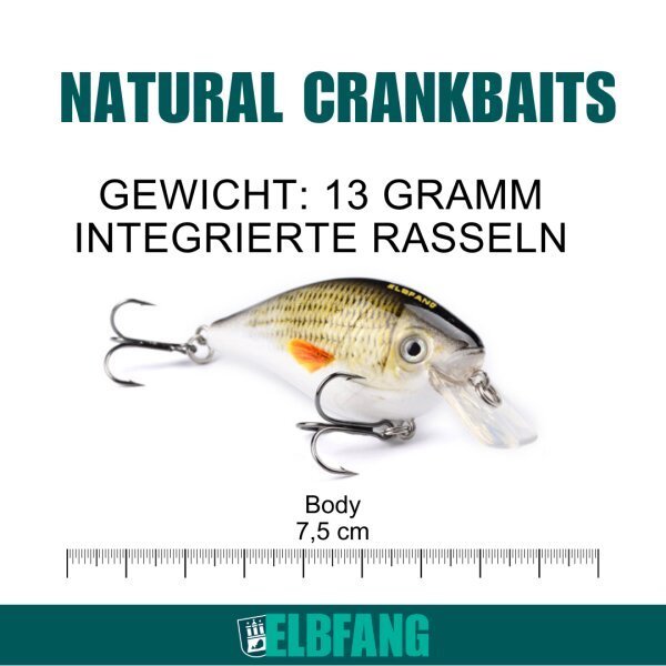 5er Crankbait Set mit Box 13g / 7,5cm
