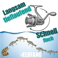 5er Elbfang Swimbait Set mit Köder-Box