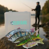 5er Elbfang Swimbait Set mit Köder-Box