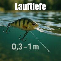 ELBFANG Crankbait Set mit Box | Gewicht 13g | Länge: 7,5cm