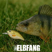 ELBFANG Crankbait Set mit Box | Gewicht 13g | Länge: 7,5cm