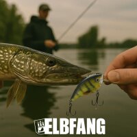 ELBFANG Crankbait Set mit Box | Gewicht 13g | Länge: 7,5cm