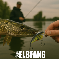 ELBFANG Crankbait Set mit Box | Gewicht 13g | Länge: 7,5cm