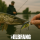 ELBFANG Crankbait Set mit Box | Gewicht 13g | Länge: 7,5cm