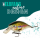 ELBFANG Crankbait Set mit Box | Gewicht 13g | Länge: 7,5cm