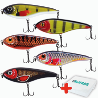 jerkbait-hecht-set