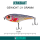 ELBFANG Jerkbait Hecht Köder Set | 90mm | 21g