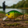 ELBFANG Crankbait Wobbler mit Box | 13 Gramm | 75mm