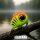 ELBFANG HyperEye Box – 5 Lipless Crankbaits | 4,5 cm & 8,5 g | langsam sinkend | Vibrationsköder Set für Barsch, Zander & Hecht inkl. Tacklebox