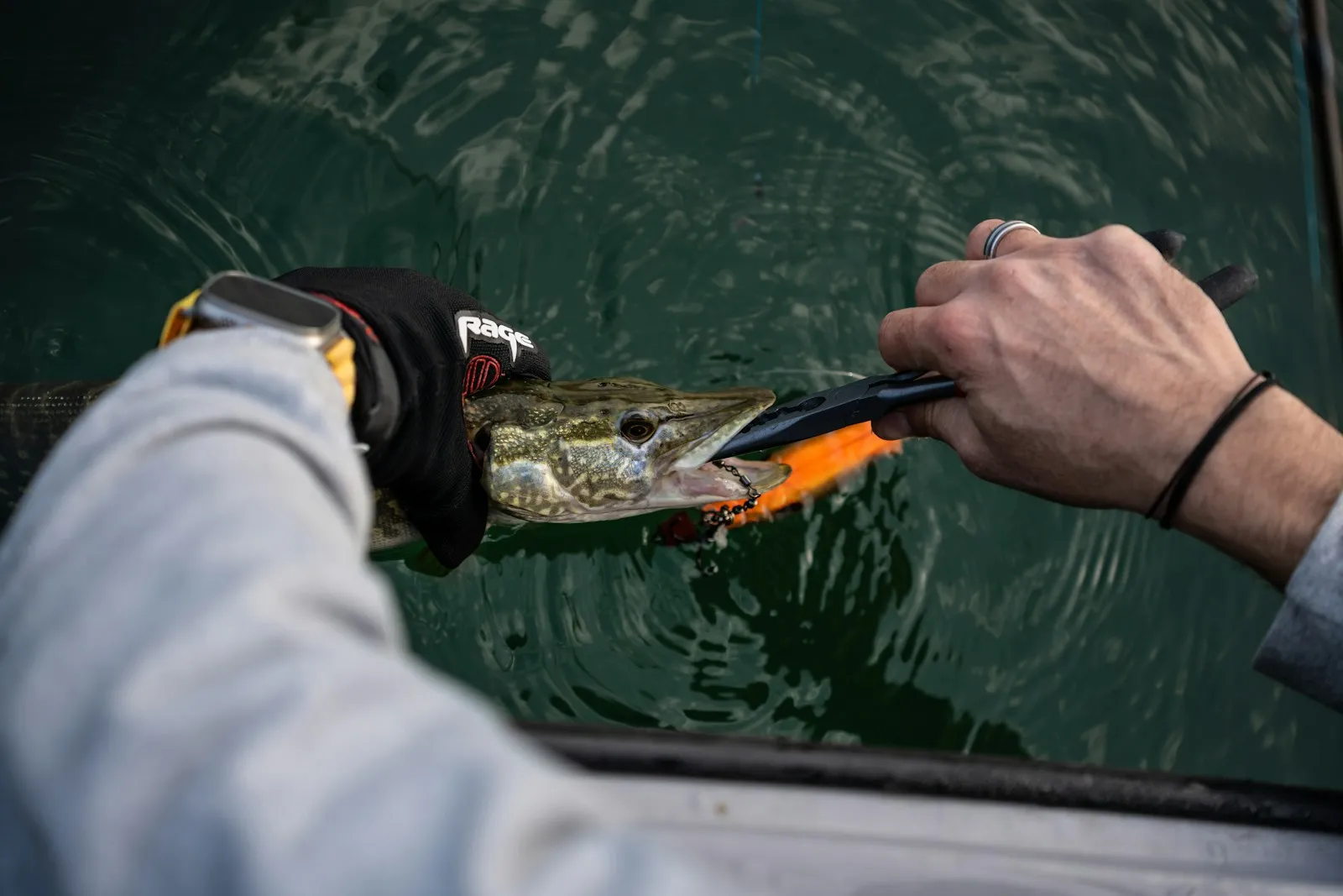 Angler löst mit einer Zange den Köder aus dem Maul eines Hechts