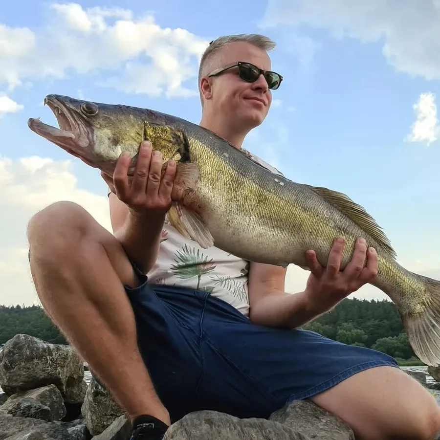 ELBFANG-Gründer hält einen kapitalen Zander mit beiden Händen auf einer Steinpackung am Fluss