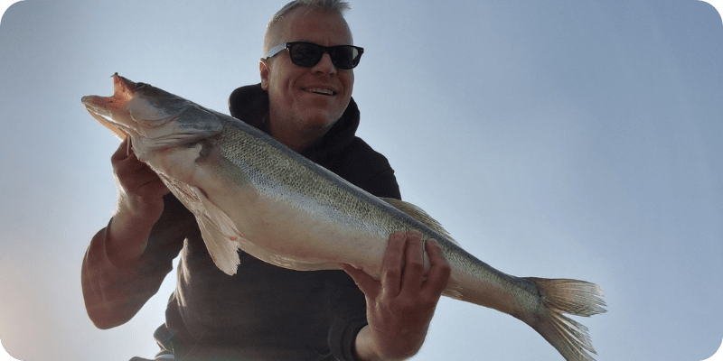 Gefangener Zander – Ratgeber Zanderangeln